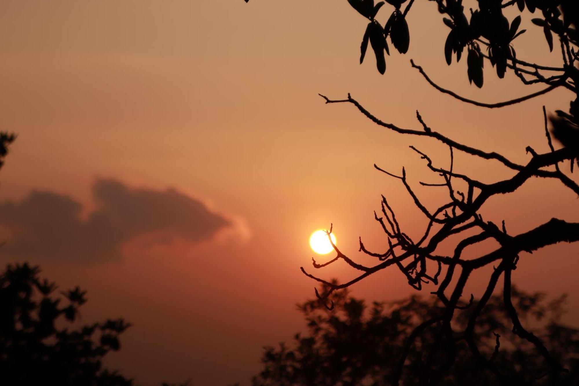 Simba Jungle Lodge, Binsar Wildlife Sanctuary エクステリア 写真