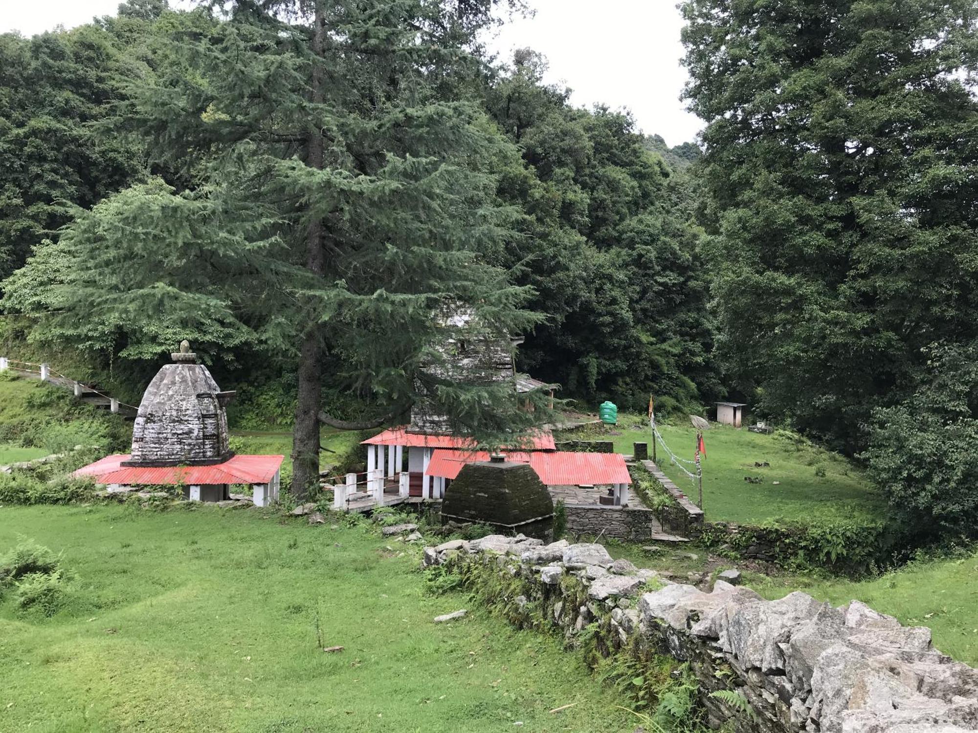 Simba Jungle Lodge, Binsar Wildlife Sanctuary エクステリア 写真