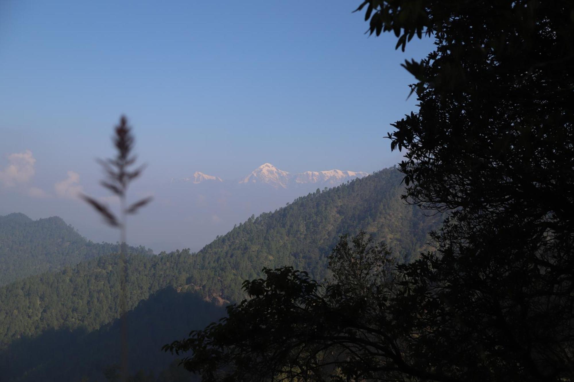 Simba Jungle Lodge, Binsar Wildlife Sanctuary エクステリア 写真