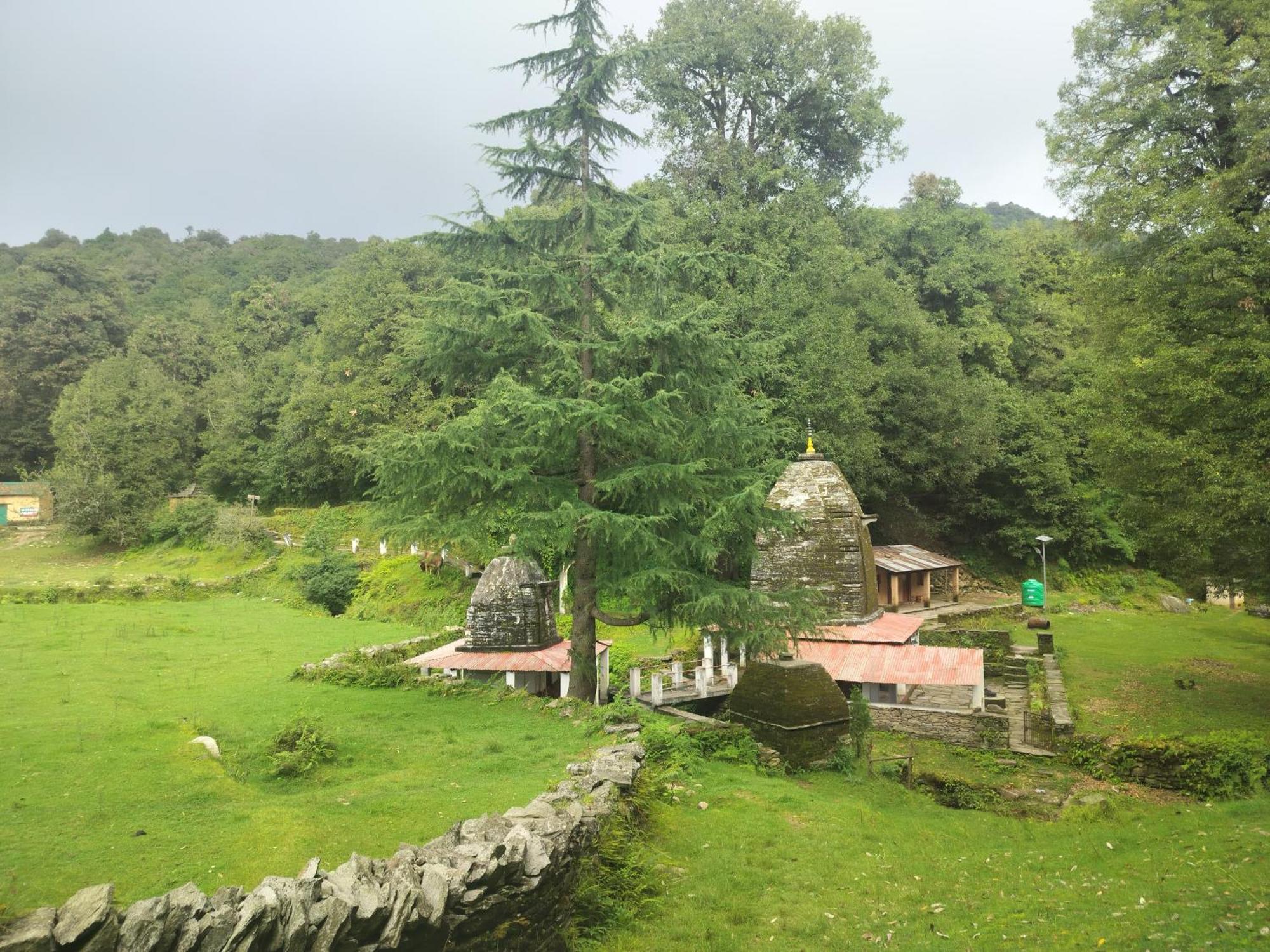 Simba Jungle Lodge, Binsar Wildlife Sanctuary エクステリア 写真