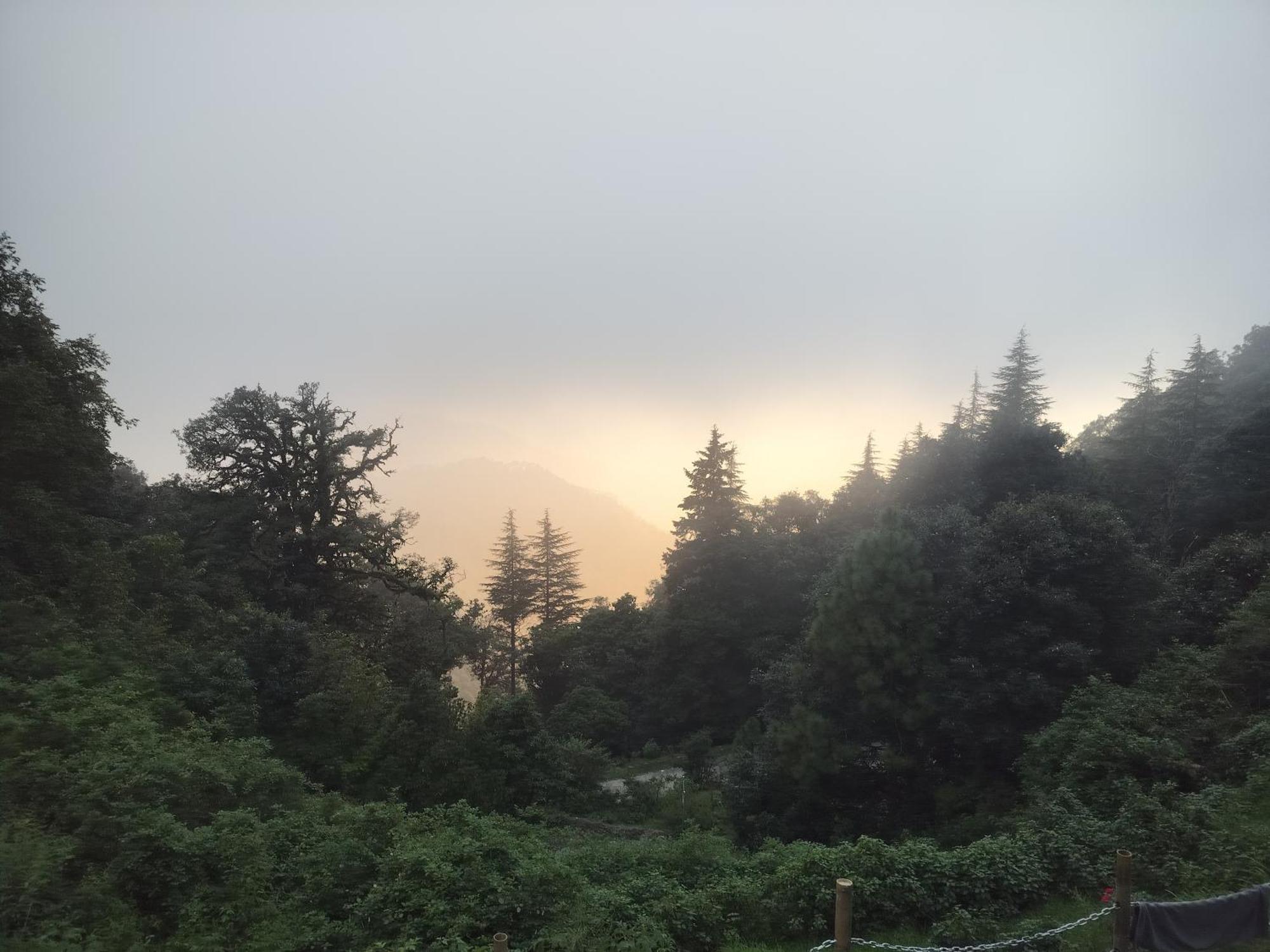Simba Jungle Lodge, Binsar Wildlife Sanctuary エクステリア 写真