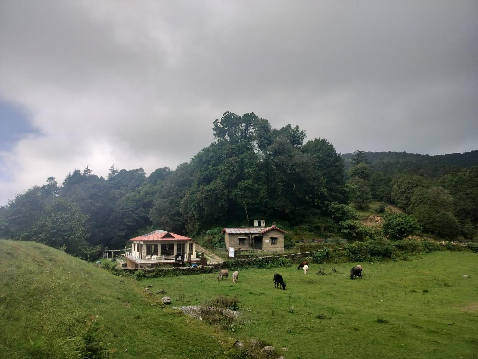Simba Jungle Lodge, Binsar Wildlife Sanctuary エクステリア 写真