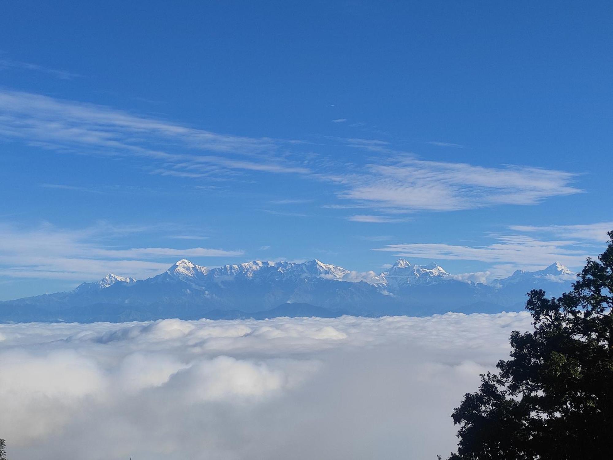 Simba Jungle Lodge, Binsar Wildlife Sanctuary エクステリア 写真